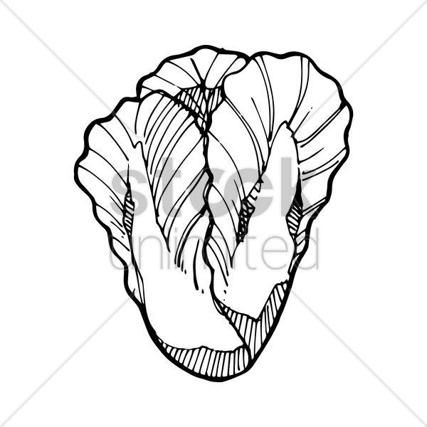 Lettuce At Getdrawings Com Free For Personal - Lettuce At Getdrawings Com Free For Personal (600x600)