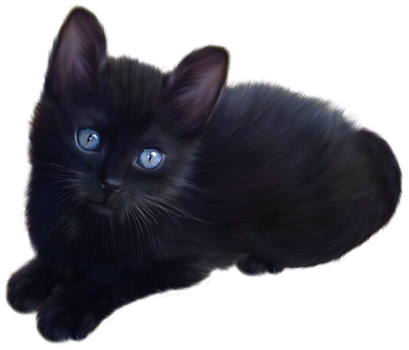 Dog Cat, Cats And Kittens, Black Kittens, Cat Clipart, - Black Cat With No Background (600x502)