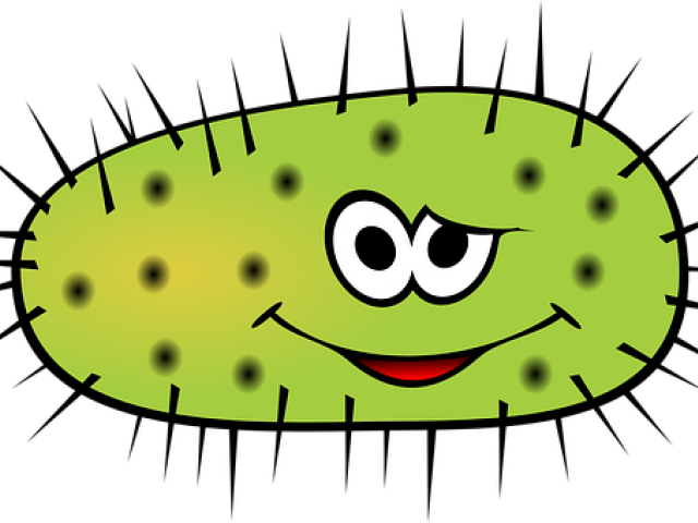Bacteria Clipart Science - Bacteria Cartoon Png (640x480)