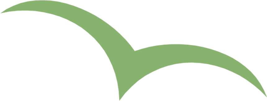 Confidence - Independence - Confidence - Independence (1300x864)