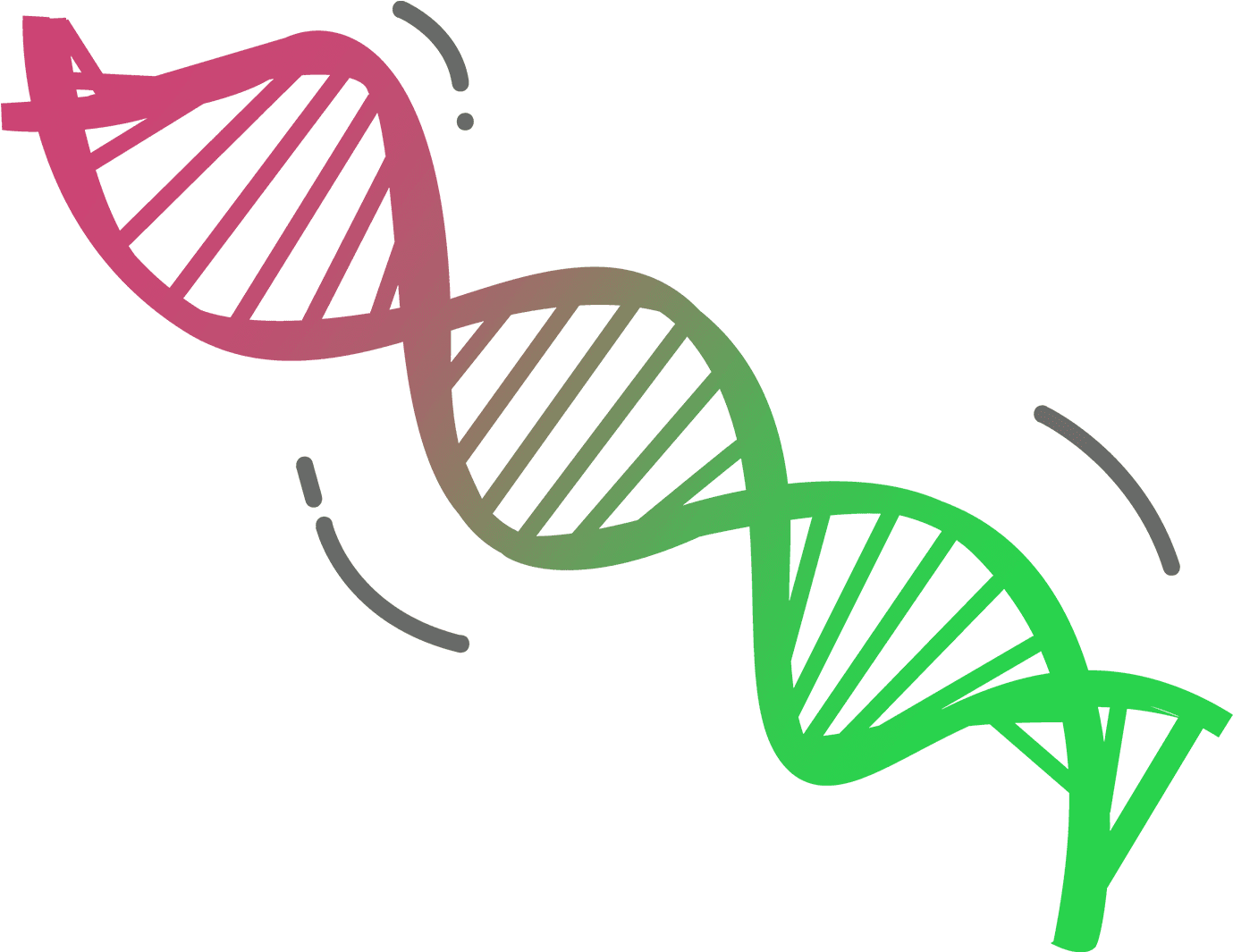 Transformation2 - Double Helix (1455x1273)