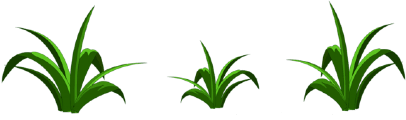 Free Png Grass Decor Transparent Png Images Transparent - Grass Clipart Png (850x267)