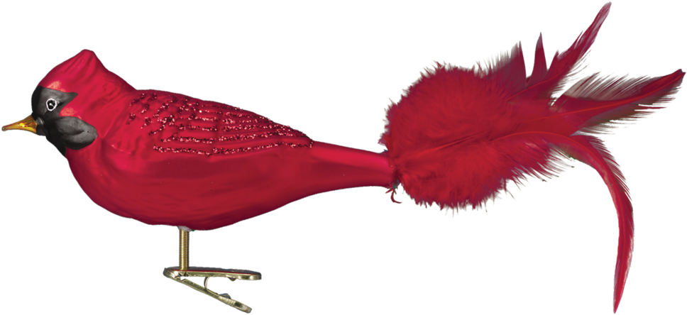 Old World Christmas Blown Glass Large Cardinal Ornament - Christmas Bird Ornament Png (1024x1024)