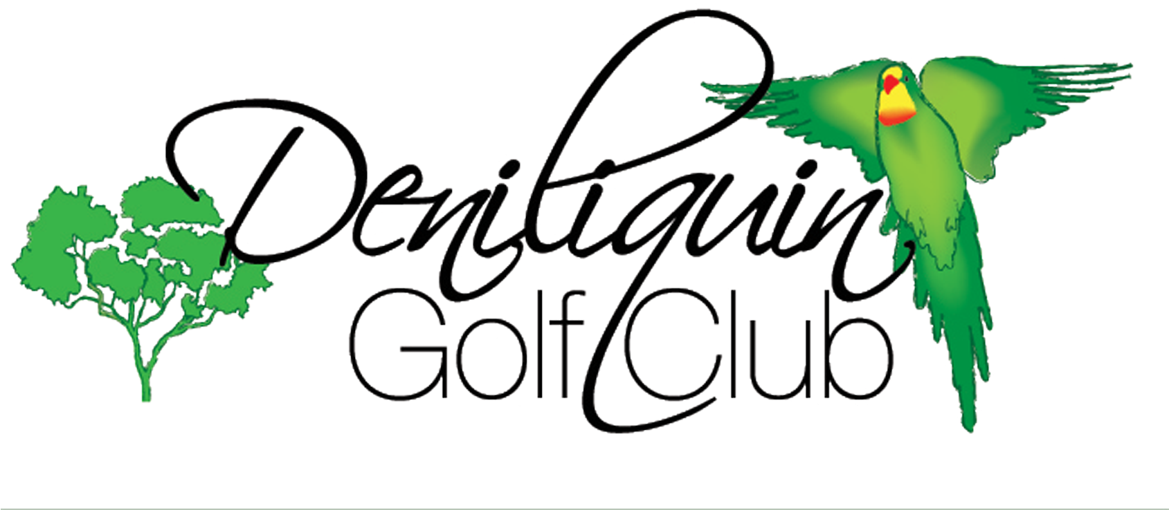 View Course Video - Calligraphy (1688x758)