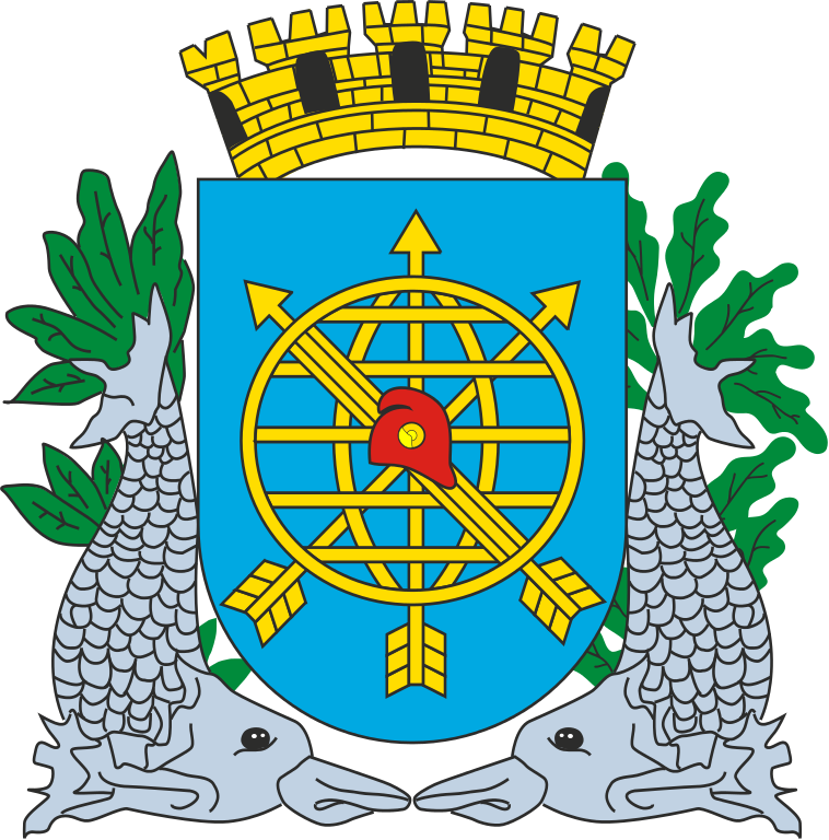 Brasão Da Cidade Do Rio De Janeiro - Bandeira Do Município Do Rio De Janeiro (758x768)