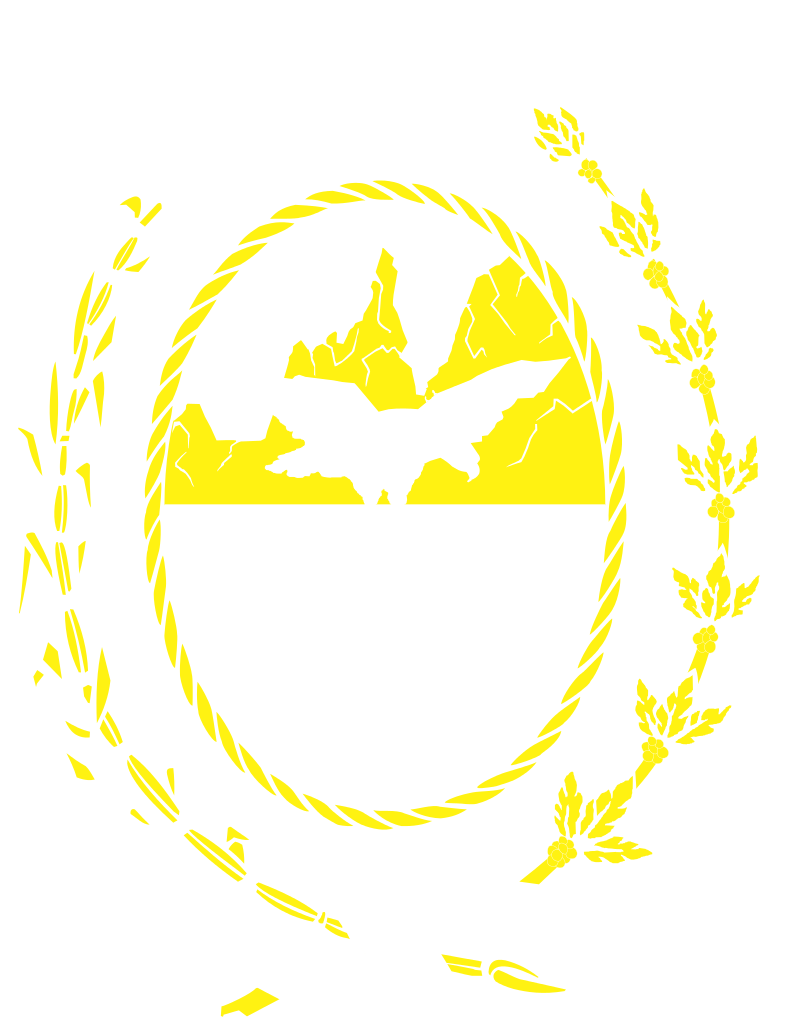 Coat Of Arms Of Rio De Janeiro - Brasao Amarelo Png (802x1024)