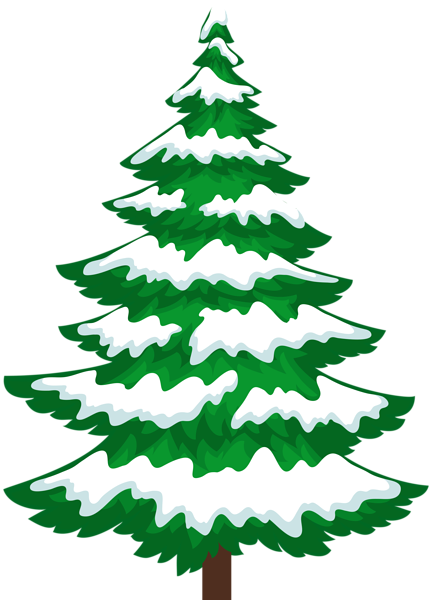 Sosna Z Przezroczystym Klipsem Śniegu Christmas Graphics, - Clip Art Pine Tree Snow (432x600)