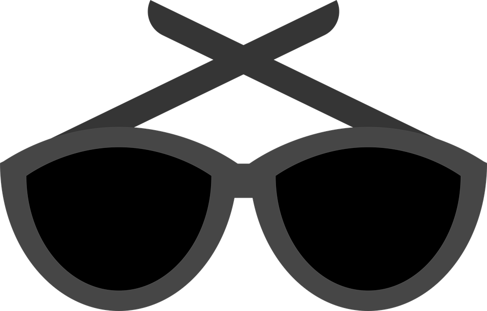 Goggles Free On Dumielauxepices - Lentes De Sol Animado (960x614)