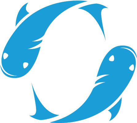 Online Fly Fishing Store - Online Fly Fishing Store (546x489)