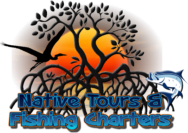 Native Tours & Fishing Charters - Illustration (664x469)