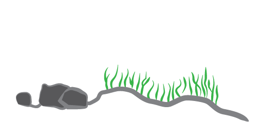 This Technique Is Particularly Effective For Largemouth - Illustration (508x238)