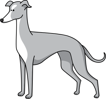 0 Replies 0 Retweets 0 Likes - Cartoon Italian Greyhound (363x341)