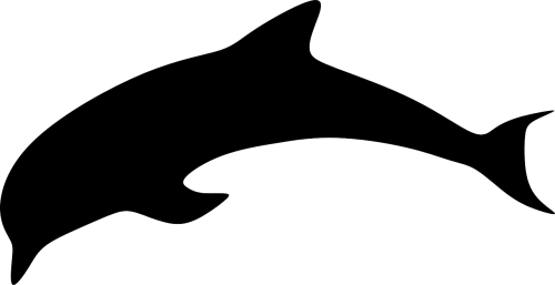 Vector - Delfin Obrys (500x257)