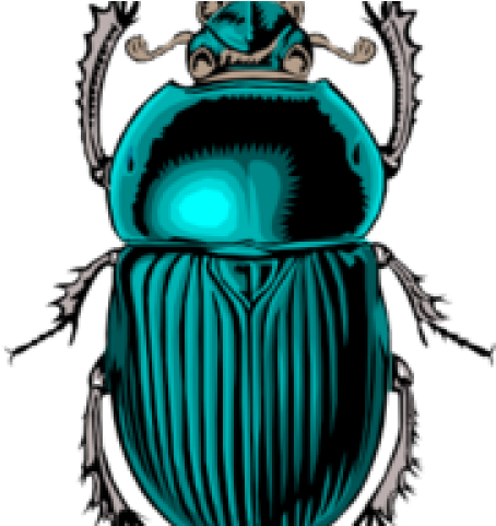 Ancient Egypt Scarab Beetle (640x480)