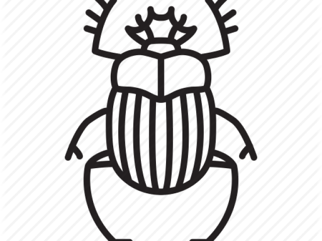 Drawn Bug Scarab Beetle - Icon Beetle (640x480)