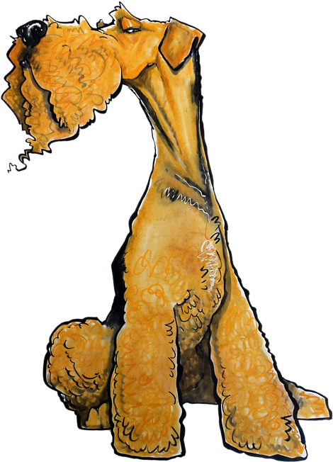 Bleed Area May Not Be Visible - Airedale Terrier Drawing (559x700)