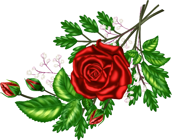 Https - //fotki - Yandex - - Floribunda (600x489)