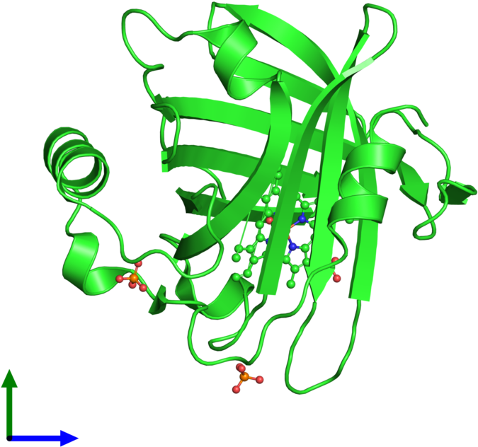 Pdb 1ywa Coloured By Chain And Viewed From The Front - Illustration (800x800)