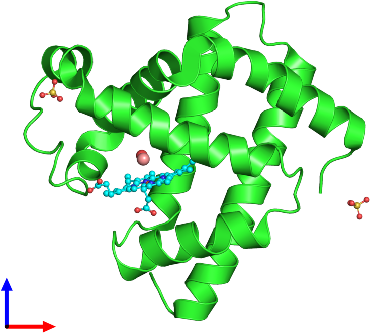Pdb 5cnd Coloured By Chain And Viewed From The Front - Graphic Design (800x800)