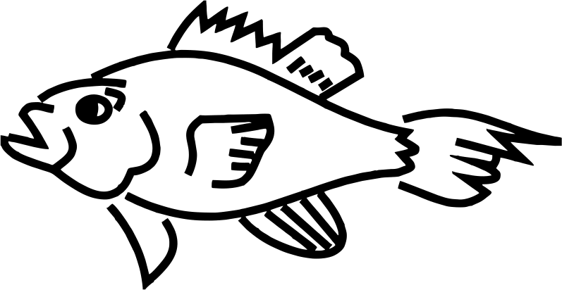 Parrot Fish Clipart - Parrotfish Clipart Black And White (797x412)