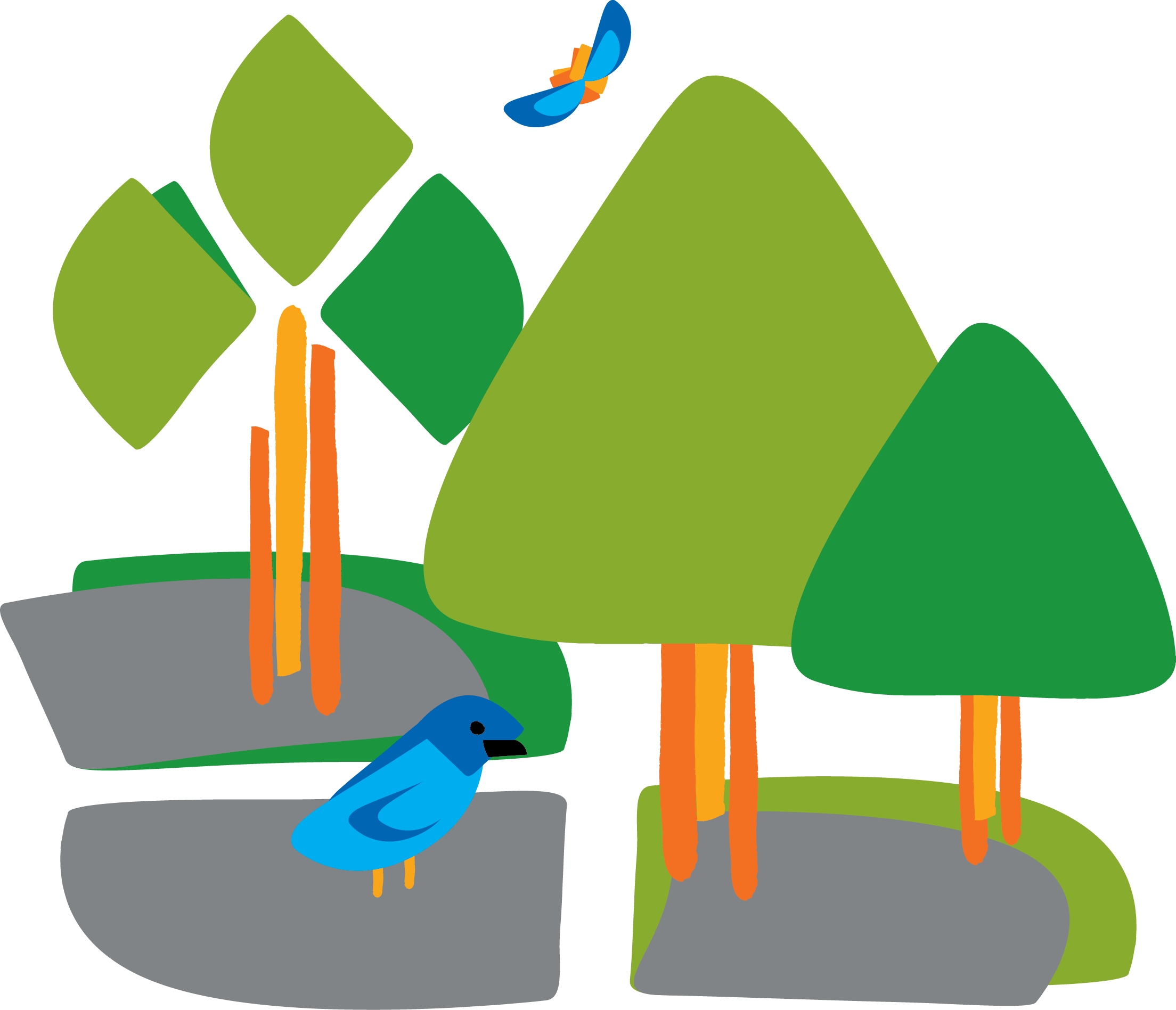 Native Tree Id Walk With Nc Land Trust - Native Tree Id Walk With Nc Land Trust (2208x1897)