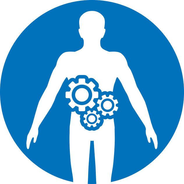 Improve Your Gut Health - Illustration (632x632)