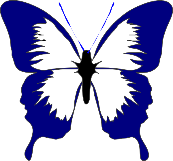 Blue Butterfly Clip Art At Clkercom Vector Online Royalty - Mariposa Blanco Y Negro (600x559)