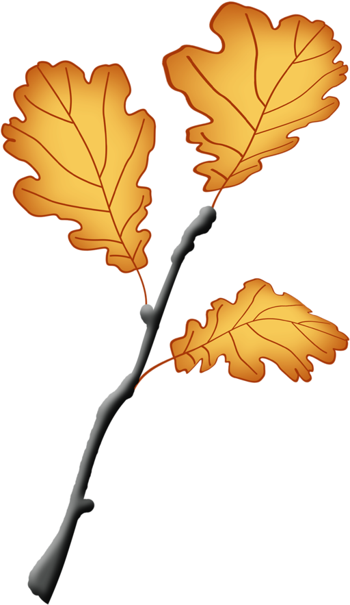 Pbp Yalana Om Element9 - Clip Art (763x1024)