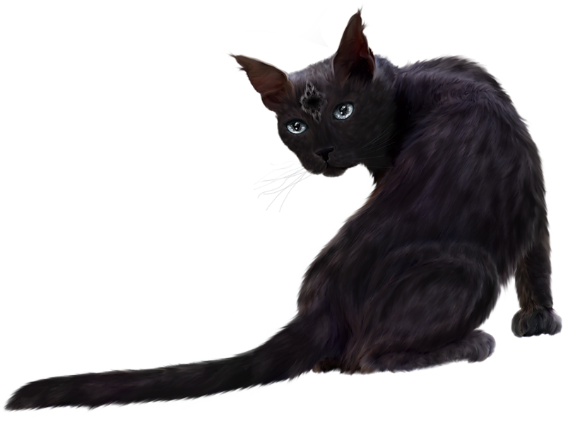 0 1519e2 6ceaffea Orig - Black Cat Png Hd (797x596)
