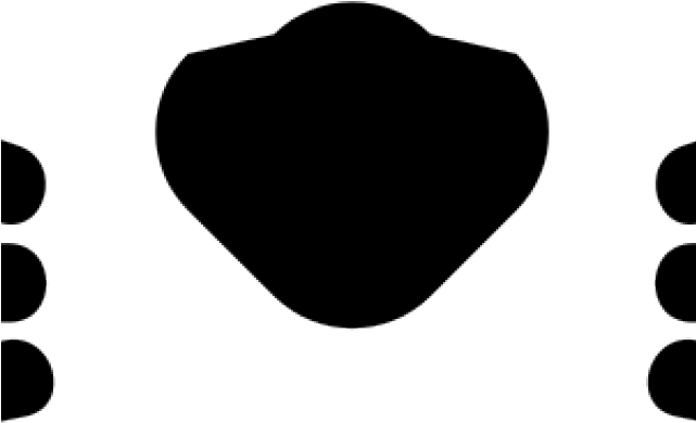 Whiskers Clipart Feline - Whiskers Clipart Feline (640x480)