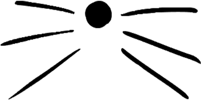 797 X 505 1 - Cat Whiskers Template (797x505)