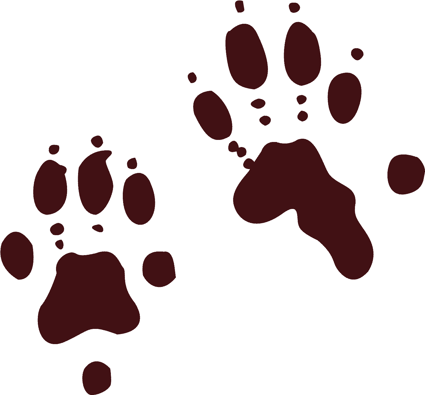 Kayaking Clipart Cartoon Otter - North American River Otter Paw Print (1426x1327)