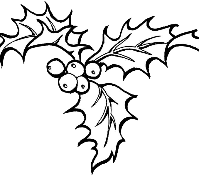 Christmas Coloring Pages Holly - Christmas Coloring Pages Holly (678x598)