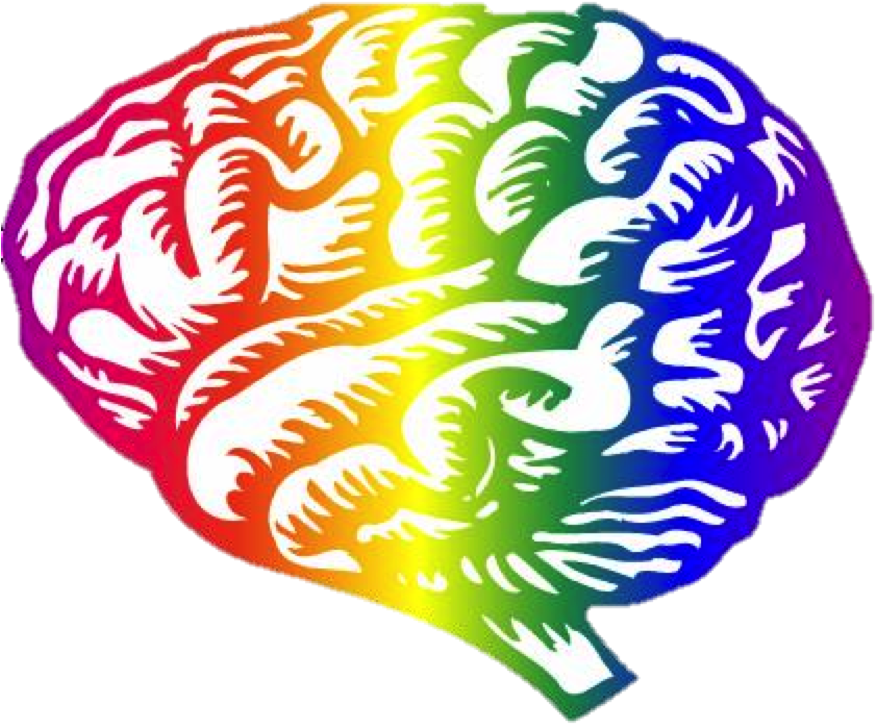 Right Hemisphere - Environmental Influences On Development Of The Brain (875x736)