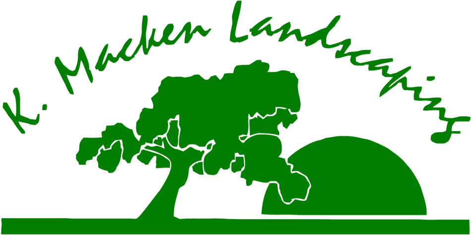 Clip Freeuse Library Macken Logo Green Png Logogreenpng - Illustration (1000x509)