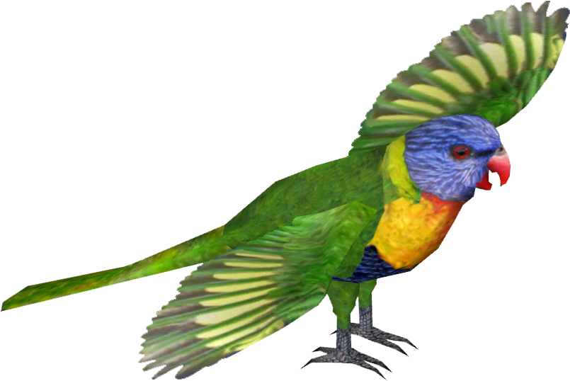 Category Gaby-raptora Zt2 Library Wiki Fandom - Rainbow Lorikeet Image Png (804x804)