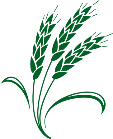 Denton Bible Church (512x512)