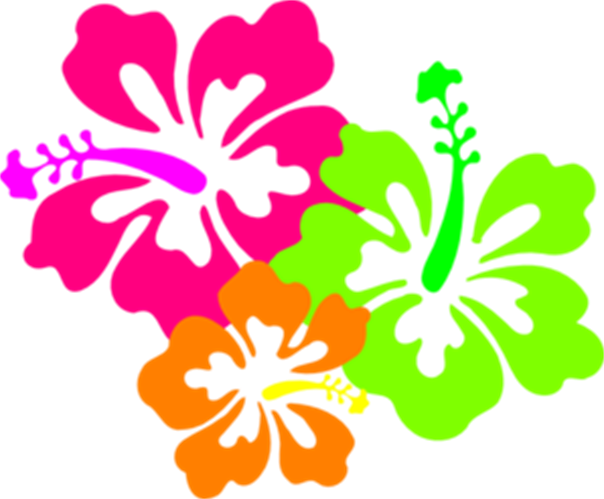 God's Unselfish Love Pt16 - Flowers Of Hawaii Png (604x499)