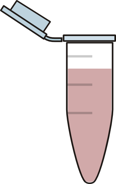 1ml Eppendorf Tube Clip Art - Eppendorf Diagram (372x592)