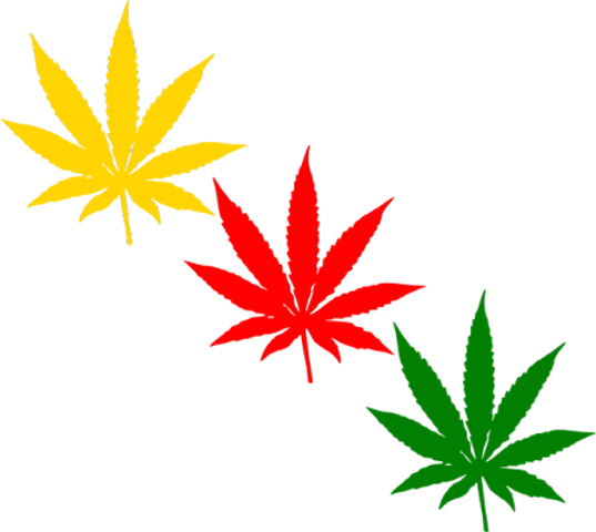 Marijuana Leaf (537x480)