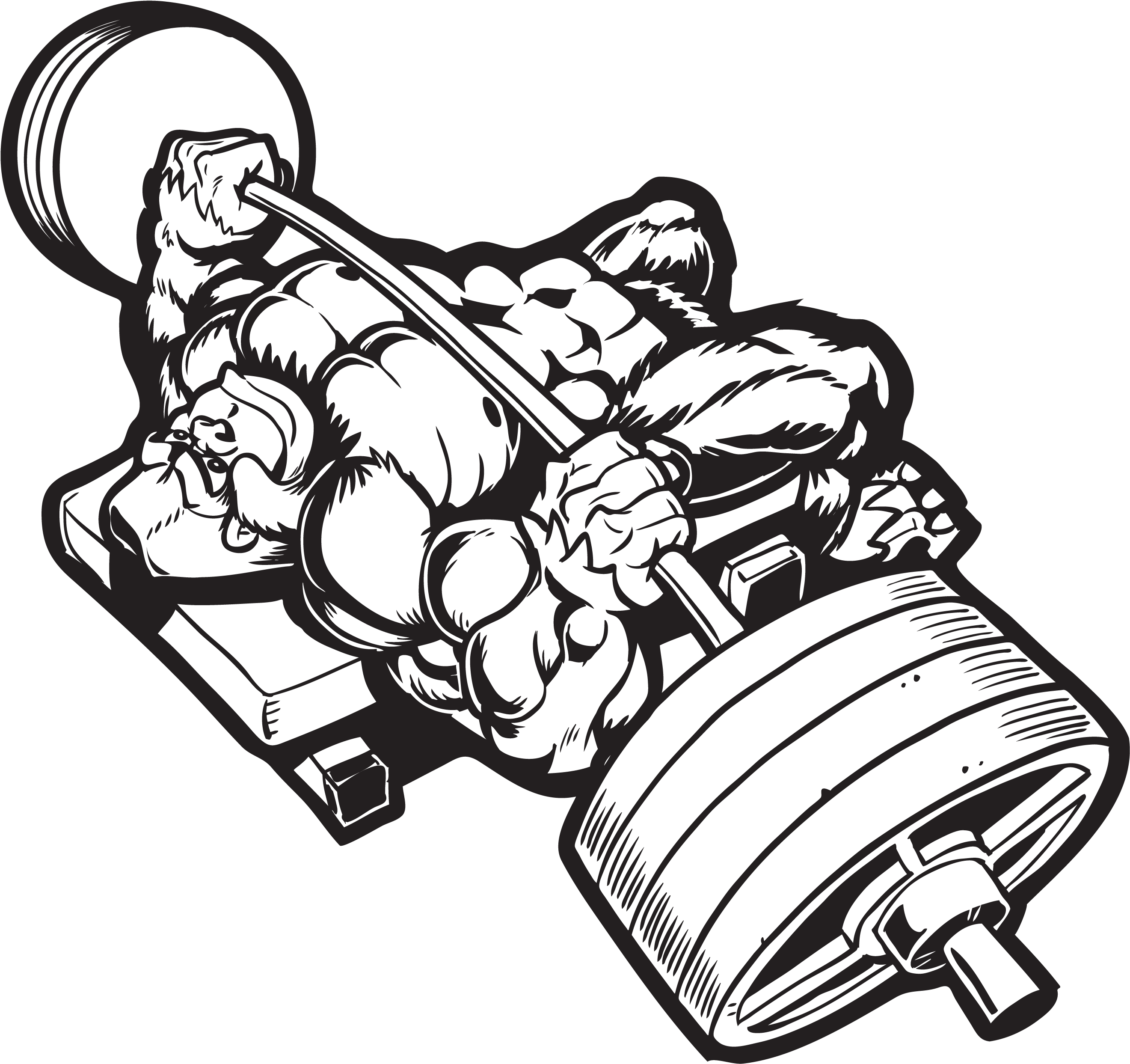 About Us Fitness Gfsbodybuild Gfsjjgorillapos Gfsboxingpos - Gorilla Bodybuilding (2700x2700)