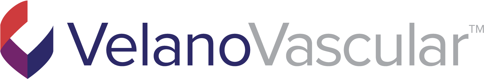 1600 X 324 3 - Velano Vascular Logo (1600x324)