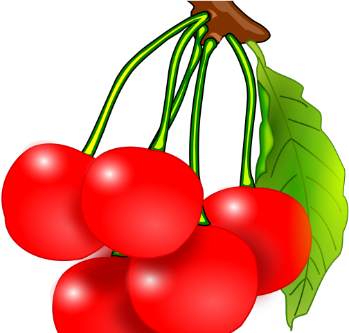 Cherry Clipart Sour Cherry - Cherry Clipart (640x480)