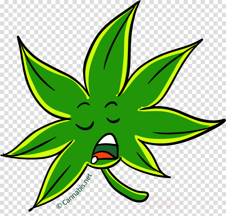 Tetrahydrocannabinol Clipart Cannabis Cup Sour Diesel - Black Wings With No Background (900x860)