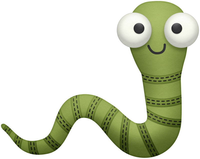 800 X 634 2 - Cute Worm Png (800x634)