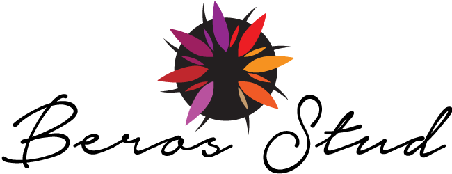 4 Things To Consider Before Your Next Haircut - Bonnie Anderson (650x250)