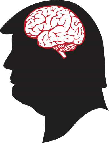 Opinions Presidentillness - Brain Outline Transparent (384x500)