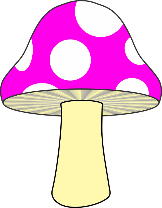 Mushroom Clipart Yellow Mushroom - Green Mushroom Clip Art (561x720)