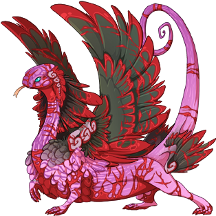 21m Spiral - Dragon (350x350)
