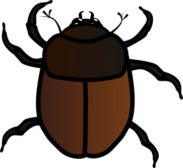 Beetle Melolonthinae Amphimallon Solstitiale Computer - June Bug Clip Art (369x340)